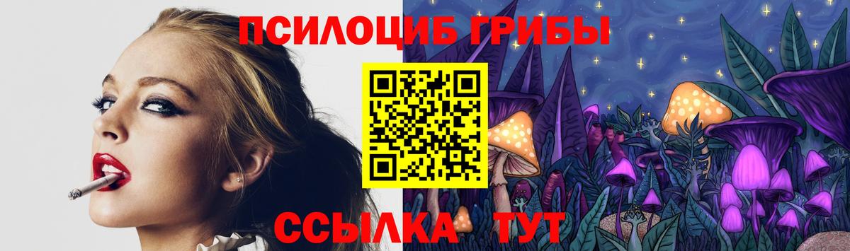Галлюциногенные грибы Cubensis  Вход с VPN  Абакан 