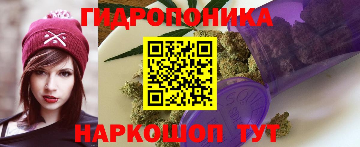 Бошки Шишки MAZAR Абакан